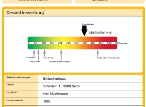 dena-ausweisausschnitt